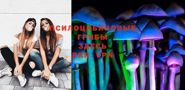 прущая мука Аркадак