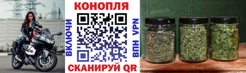 Каннабис гибрид  Калязин 